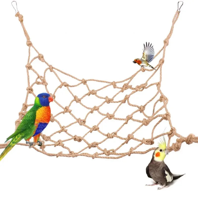 Birds & Parrots