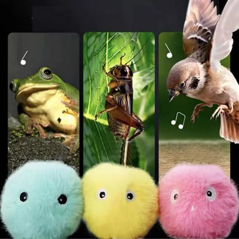 Catnip Interactive Play Ball