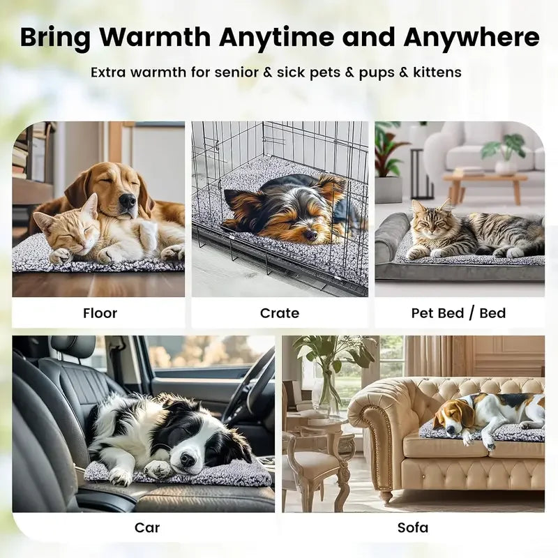 Self-Warming Thermal Pet Blanket
