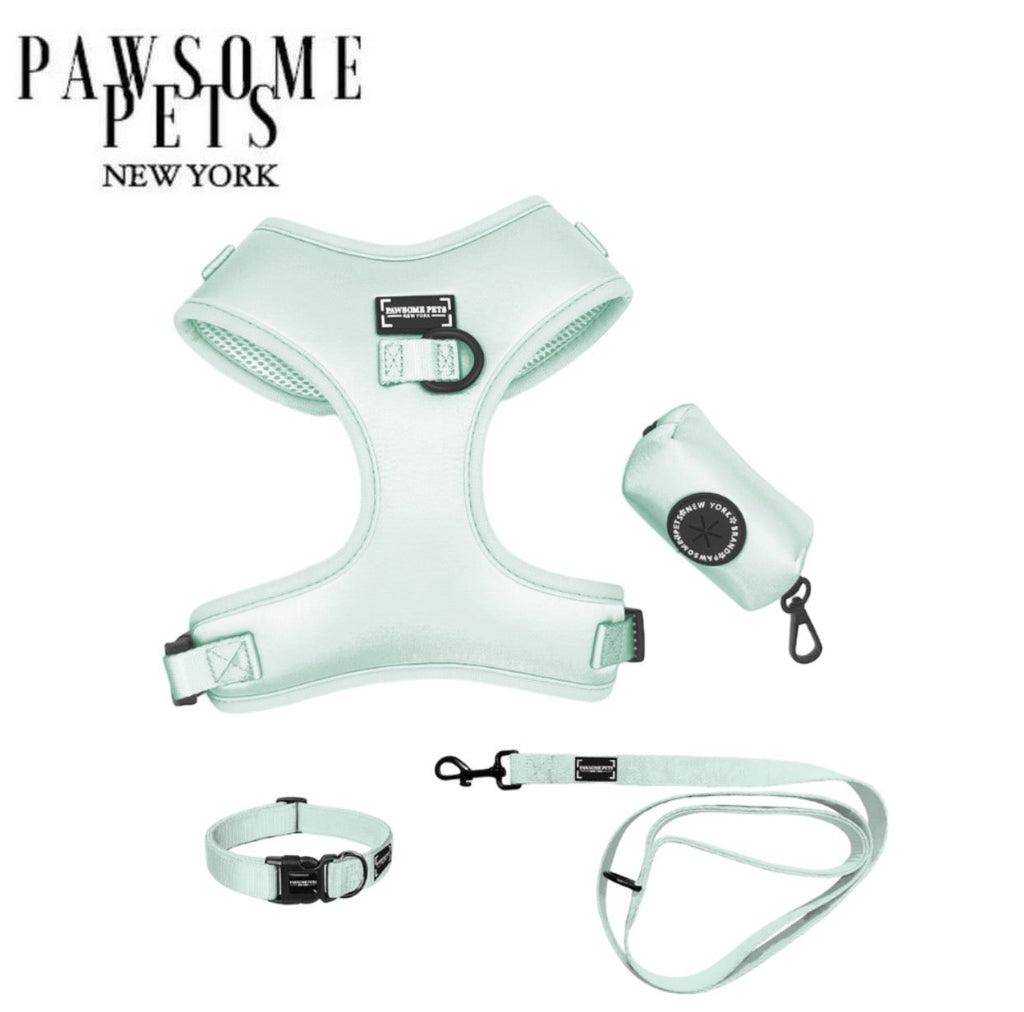 Mint Green Dog Bundle — Harness, Collar, Lead & Bowtie