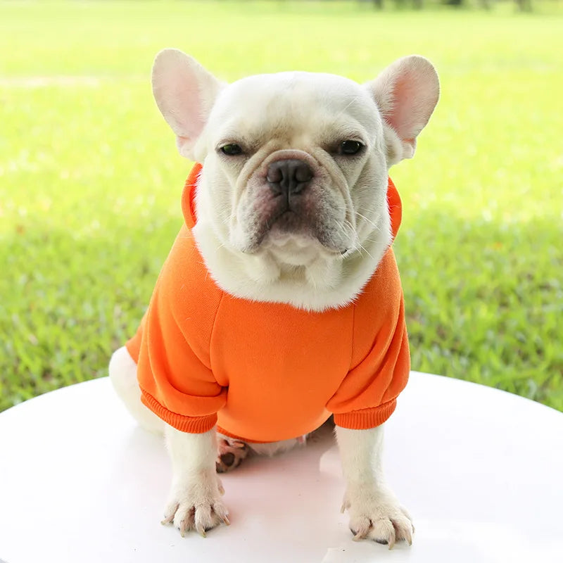 Warm Cat Hoodie Coat – Autumn & Winter Pet Clothing for Cats & Small Dogs