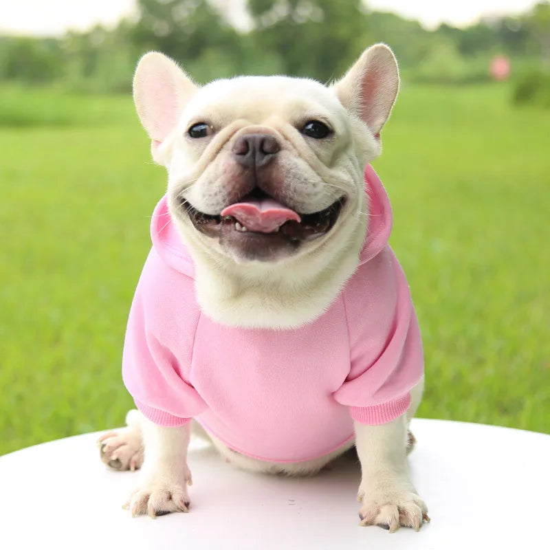 Warm Cat Hoodie Coat – Autumn & Winter Pet Clothing for Cats & Small Dogs