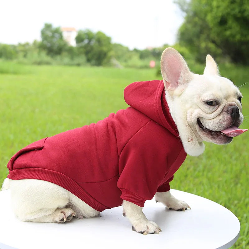 Warm Cat Hoodie Coat – Autumn & Winter Pet Clothing for Cats & Small Dogs