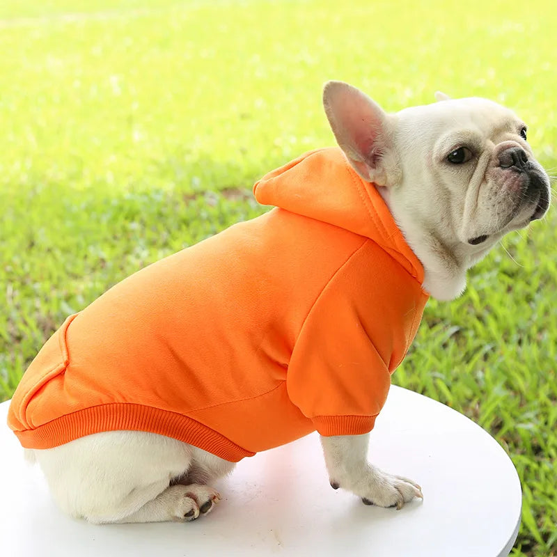Warm Cat Hoodie Coat – Autumn & Winter Pet Clothing for Cats & Small Dogs