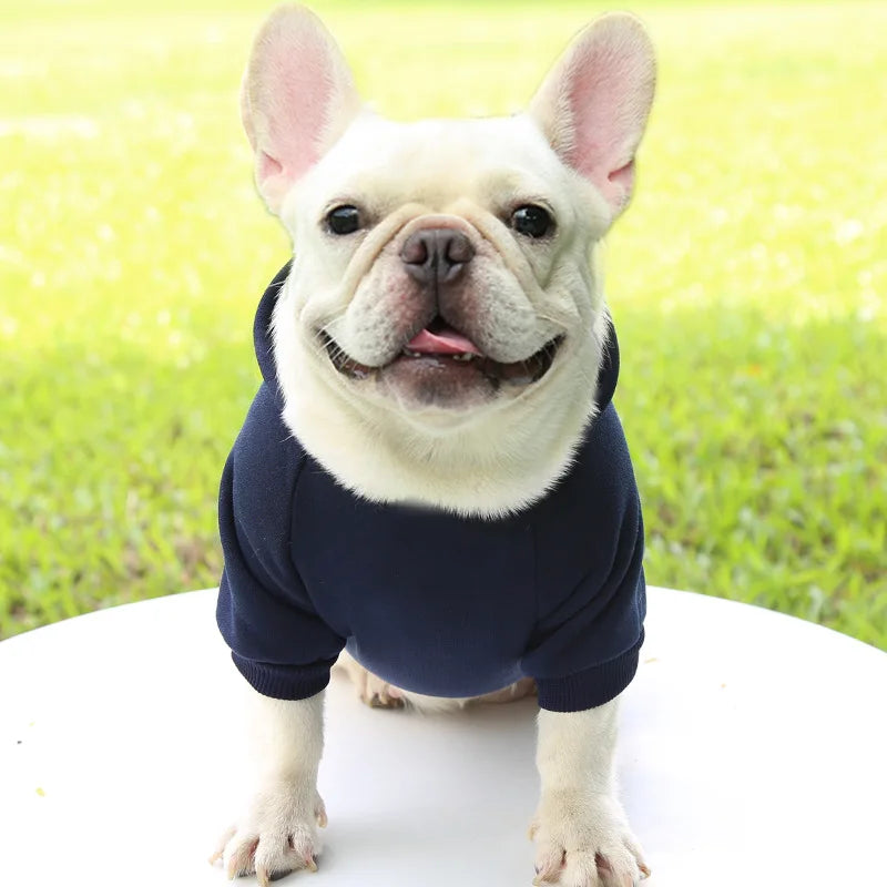 Warm Cat Hoodie Coat – Autumn & Winter Pet Clothing for Cats & Small Dogs
