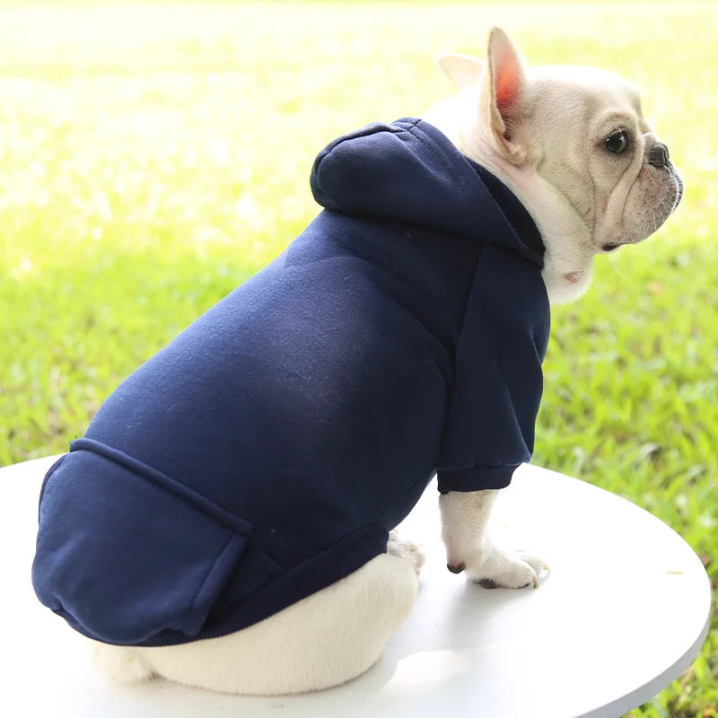 Warm Cat Hoodie Coat – Autumn & Winter Pet Clothing for Cats & Small Dogs