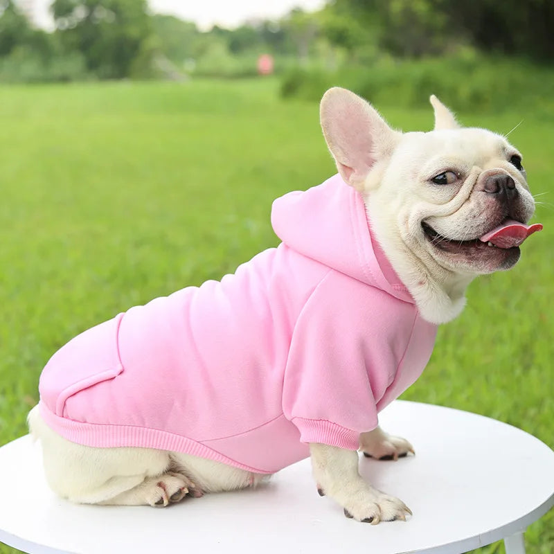 Warm Cat Hoodie Coat – Autumn & Winter Pet Clothing for Cats & Small Dogs