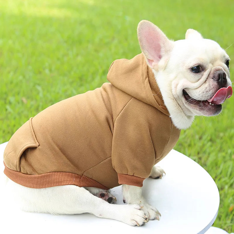 Warm Cat Hoodie Coat – Autumn & Winter Pet Clothing for Cats & Small Dogs