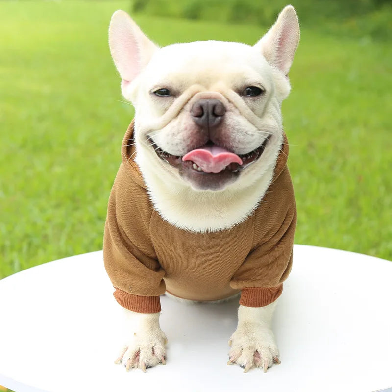 Warm Cat Hoodie Coat – Autumn & Winter Pet Clothing for Cats & Small Dogs