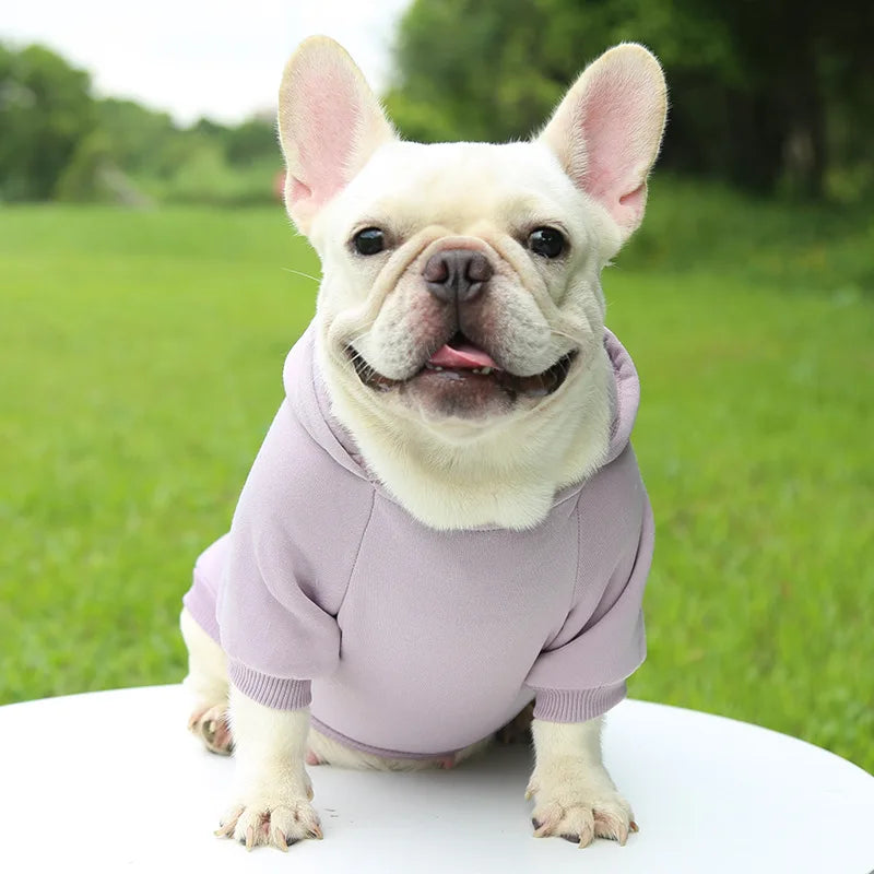 Warm Cat Hoodie Coat – Autumn & Winter Pet Clothing for Cats & Small Dogs