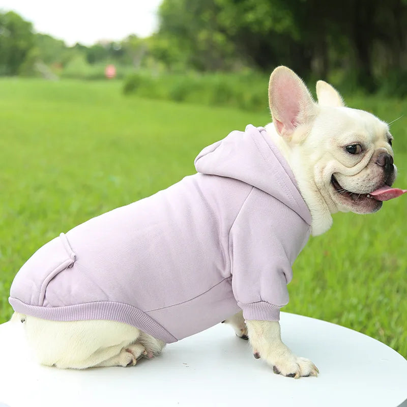 Warm Cat Hoodie Coat – Autumn & Winter Pet Clothing for Cats & Small Dogs