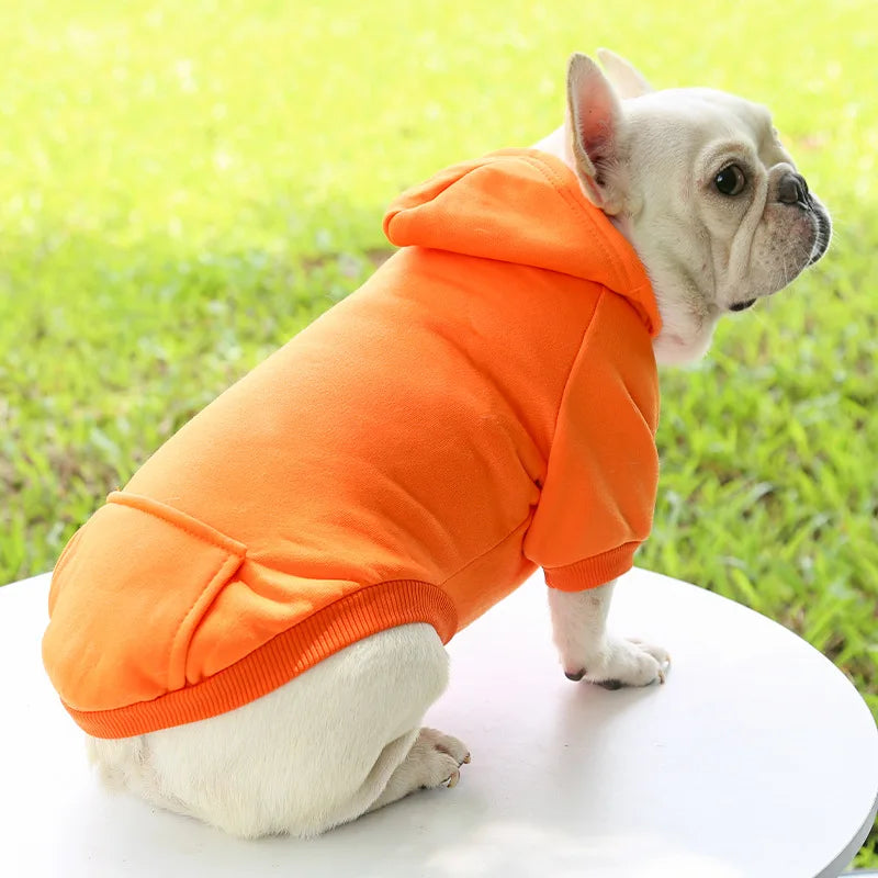 Warm Cat Hoodie Coat – Autumn & Winter Pet Clothing for Cats & Small Dogs