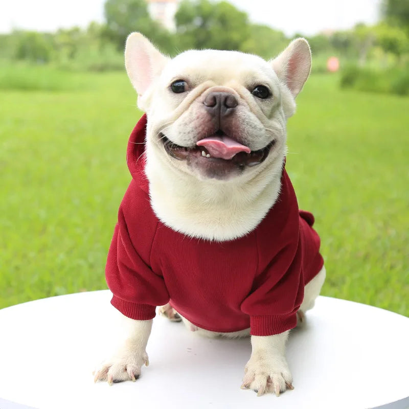 Warm Cat Hoodie Coat – Autumn & Winter Pet Clothing for Cats & Small Dogs