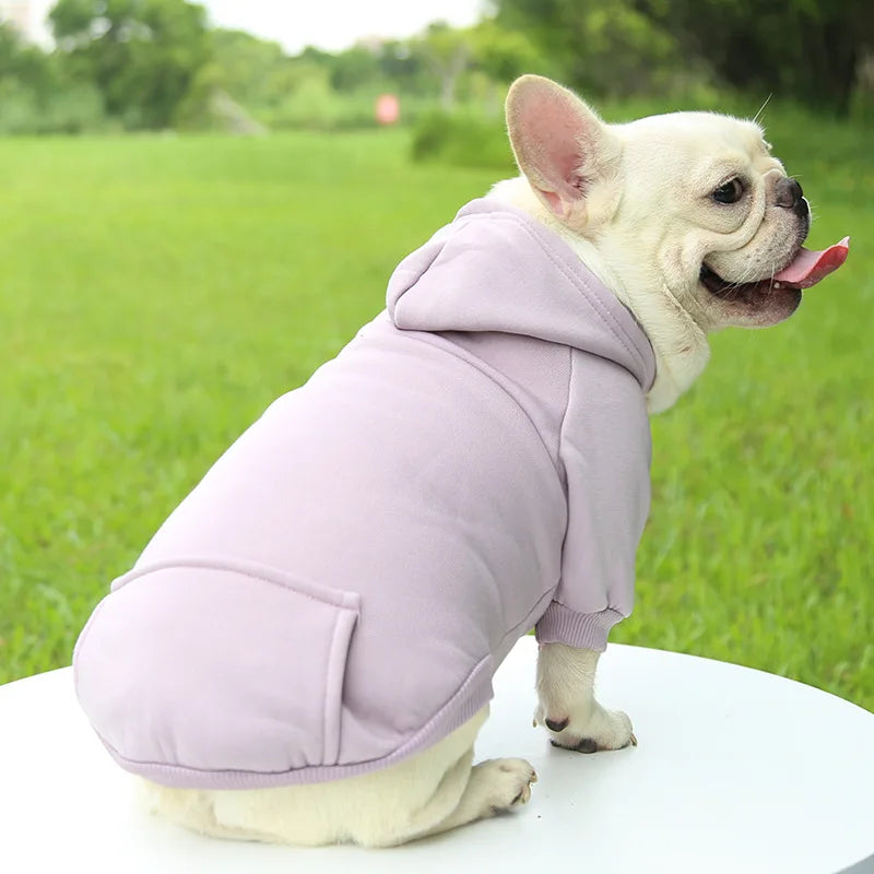 Warm Cat Hoodie Coat – Autumn & Winter Pet Clothing for Cats & Small Dogs