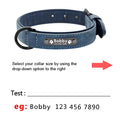 Custom Leather Dog Collar Set