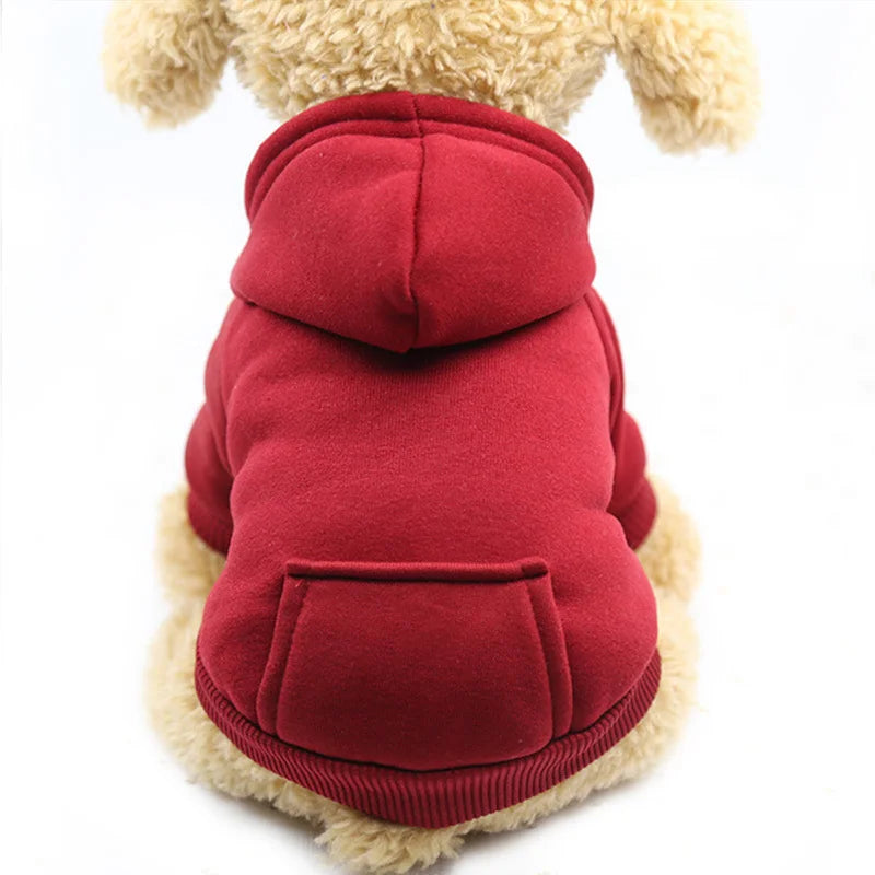 Warm Cat Hoodie Coat – Autumn & Winter Pet Clothing for Cats & Small Dogs