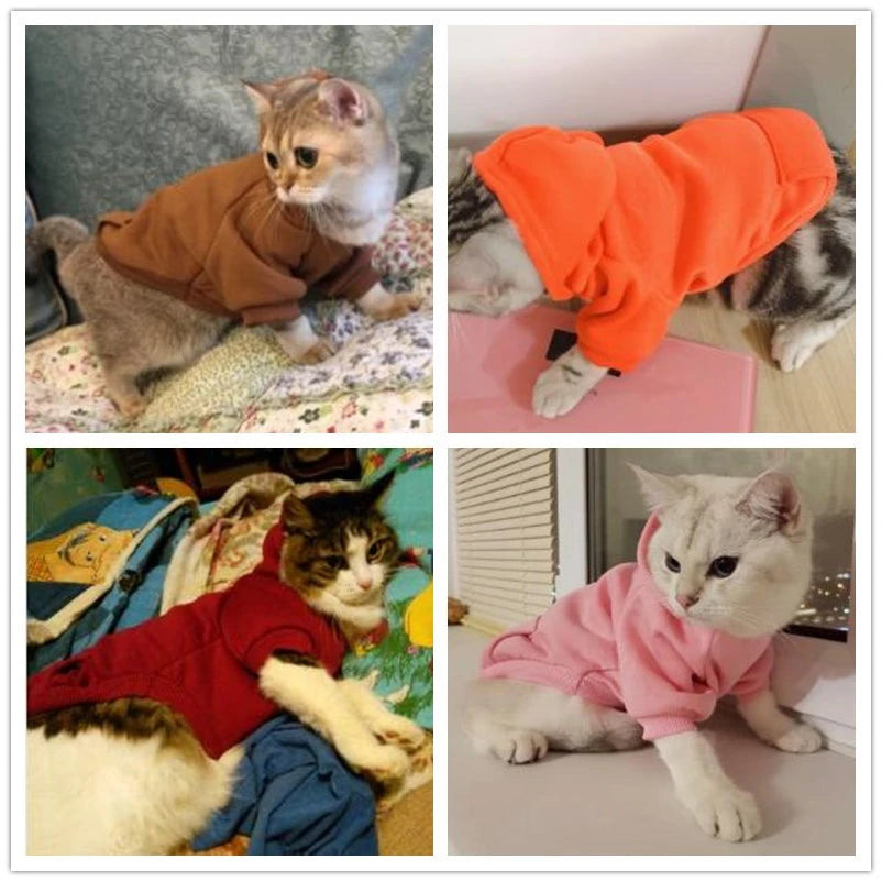 Warm Cat Hoodie Coat – Autumn & Winter Pet Clothing for Cats & Small Dogs