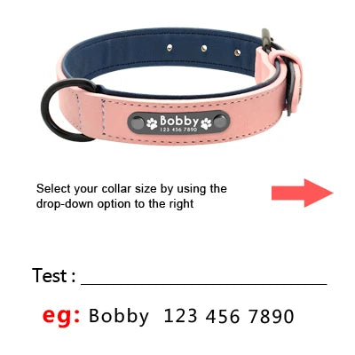 Custom Leather Dog Collar Set
