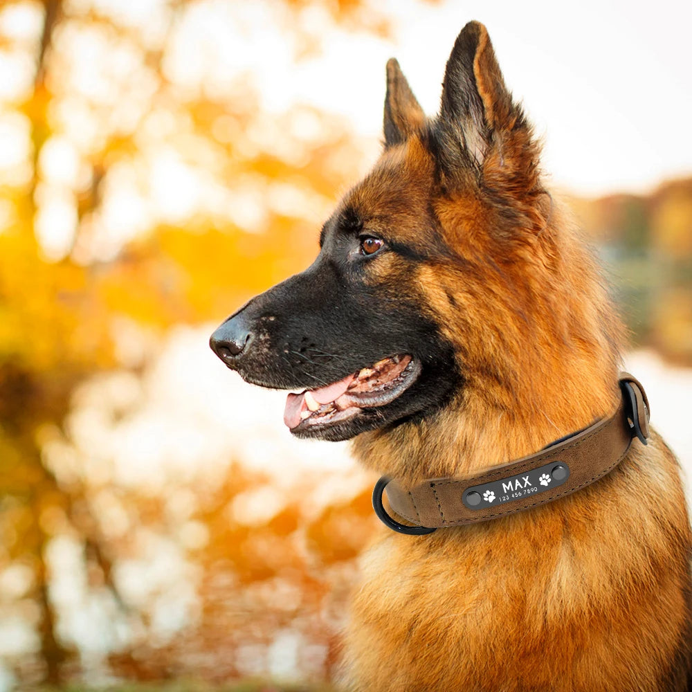 Custom Leather Dog Collar Set