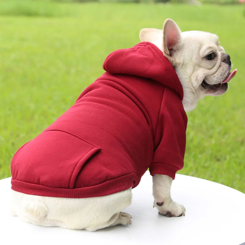 Warm Cat Hoodie Coat – Autumn & Winter Pet Clothing for Cats & Small Dogs