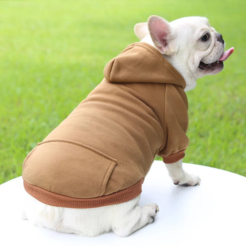 Warm Cat Hoodie Coat – Autumn & Winter Pet Clothing for Cats & Small Dogs