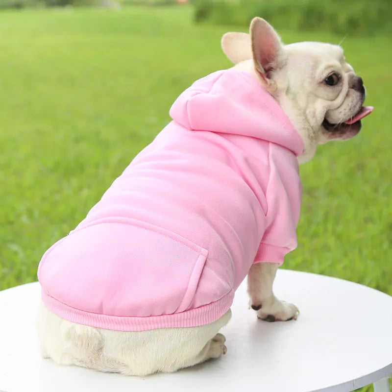 Warm Cat Hoodie Coat – Autumn & Winter Pet Clothing for Cats & Small Dogs