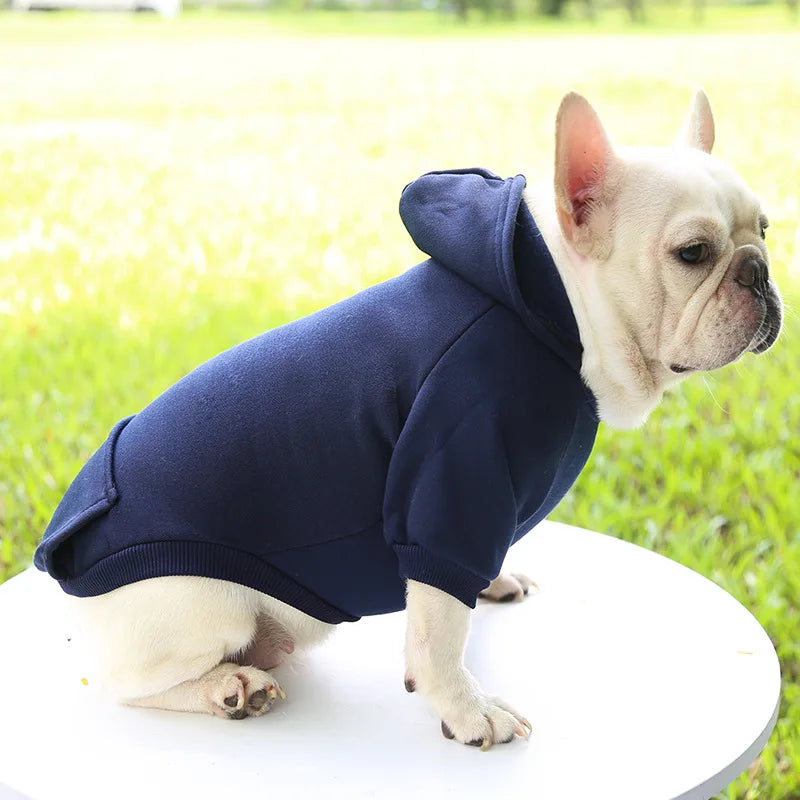 Warm Cat Hoodie Coat – Autumn & Winter Pet Clothing for Cats & Small Dogs