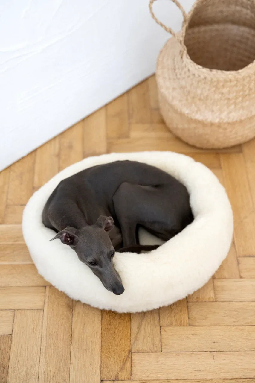 Round Natural Wool Pet Bed — White