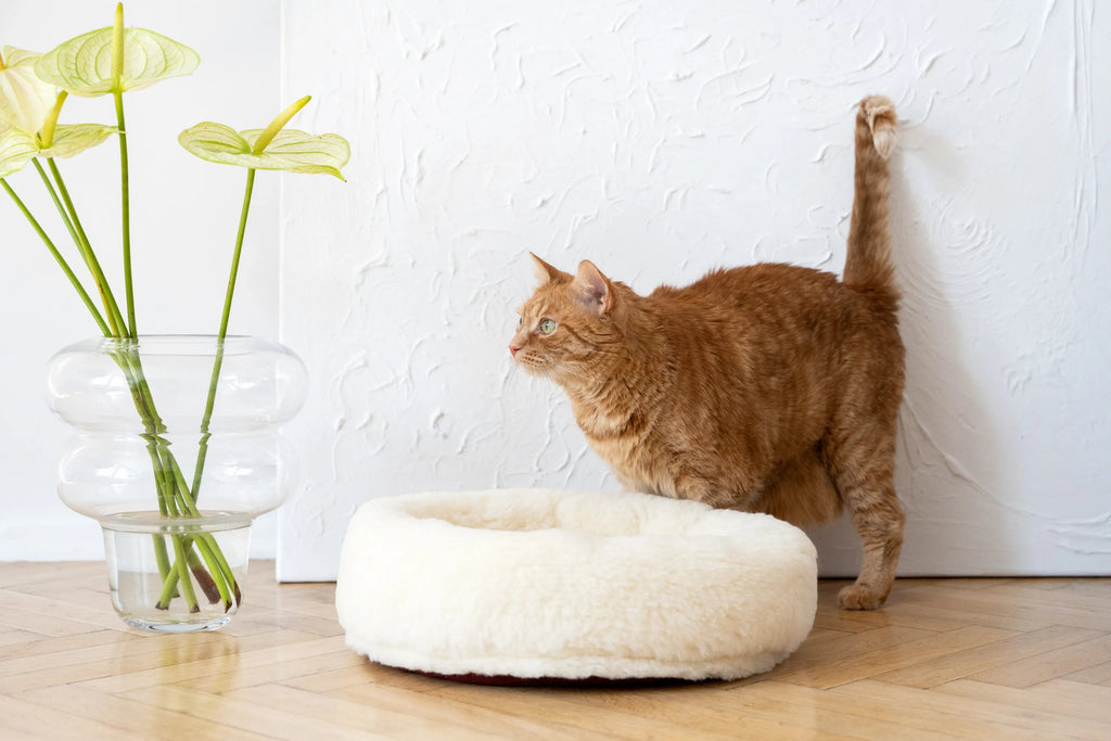 Round Natural Wool Pet Bed — White