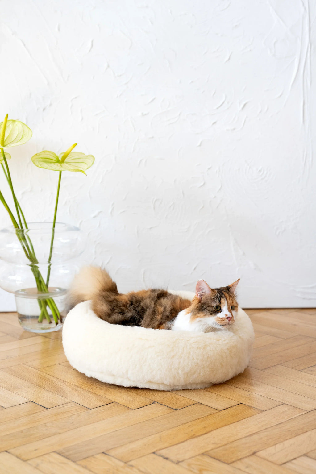 Round Natural Wool Pet Bed — White