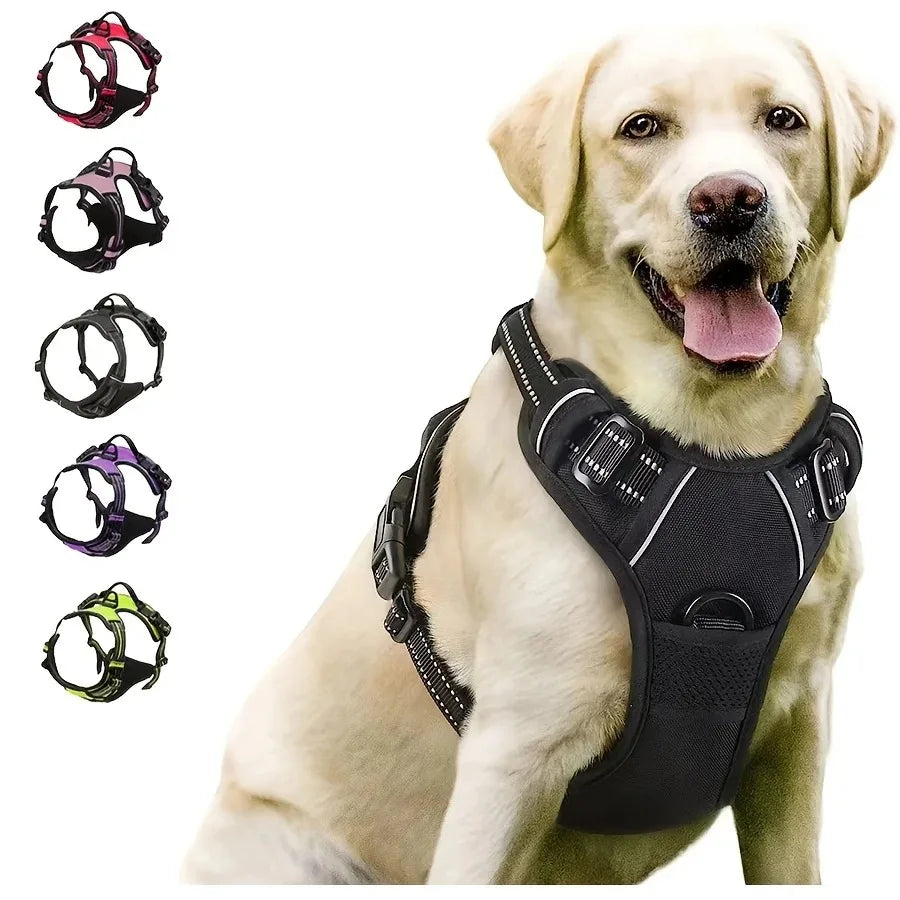 Dog Harness Collar & Leash Set