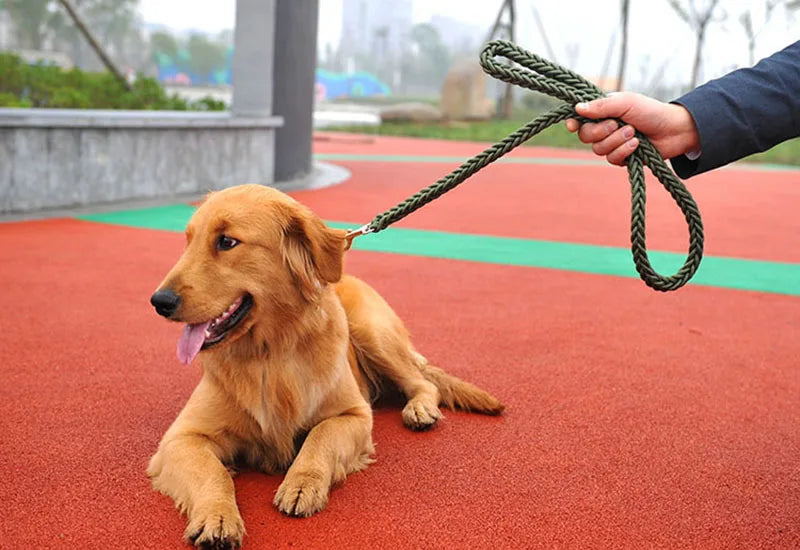Nylon Dog Training Leash