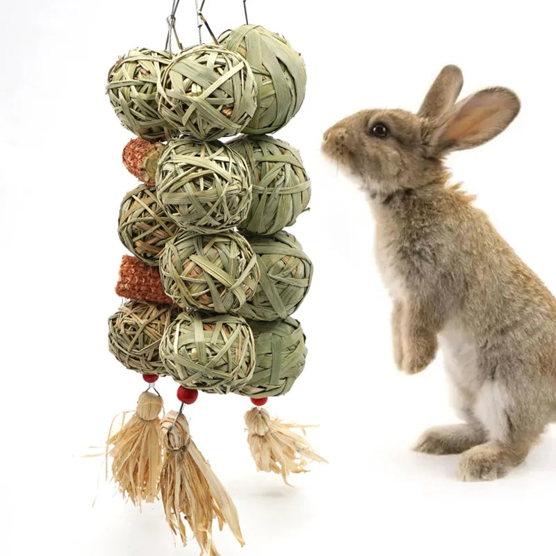 Organic Apple Wood Rabbit Chew Toy