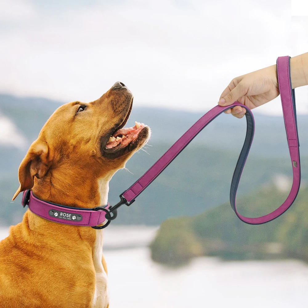 Genuine Leather Dog Collar & Leash Set