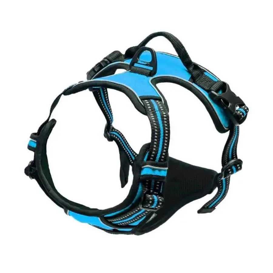 Dog Harness Collar & Leash Set