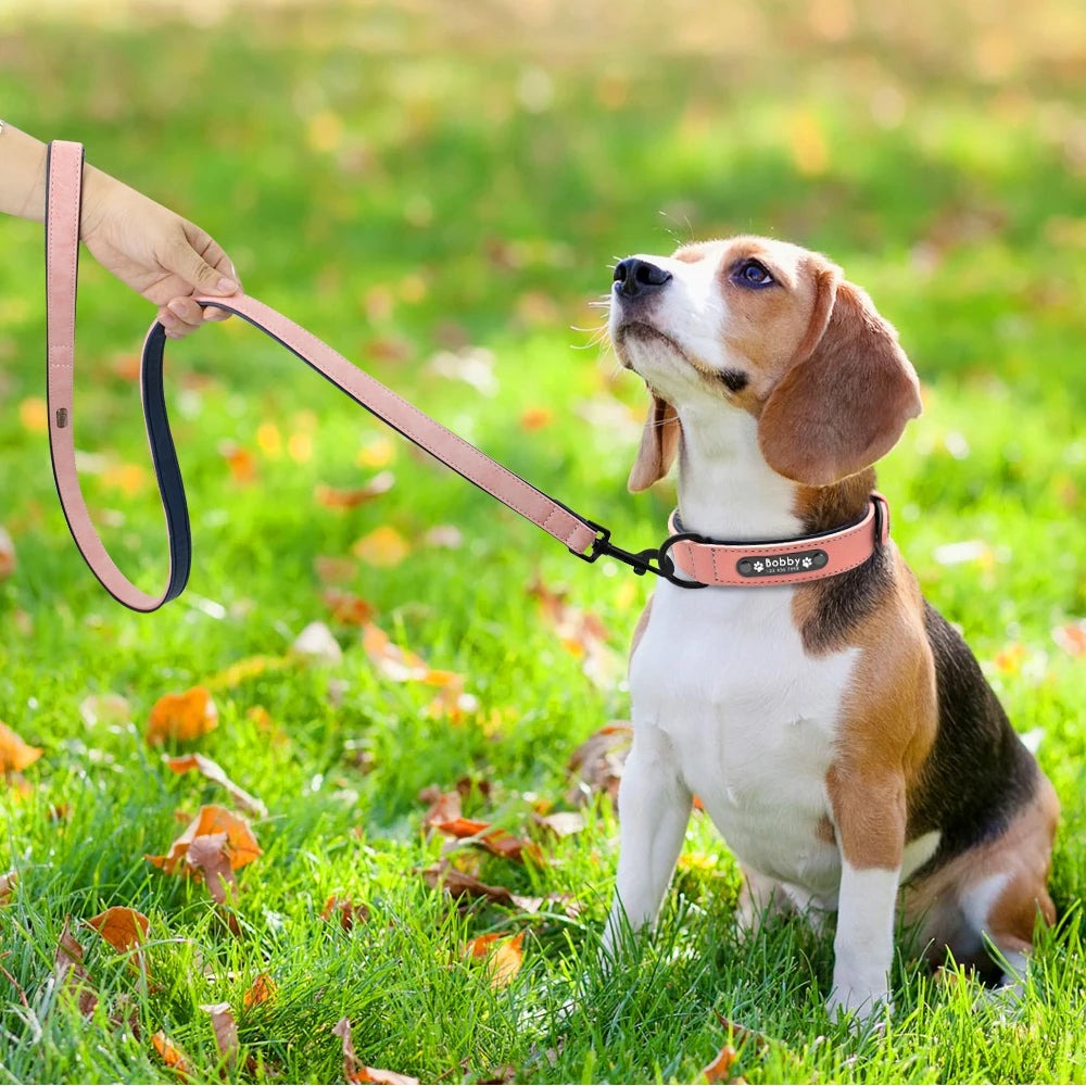 Genuine Leather Dog Collar & Leash Set