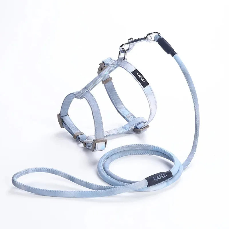 Cat Harness & Leash Set — Breakaway Design
