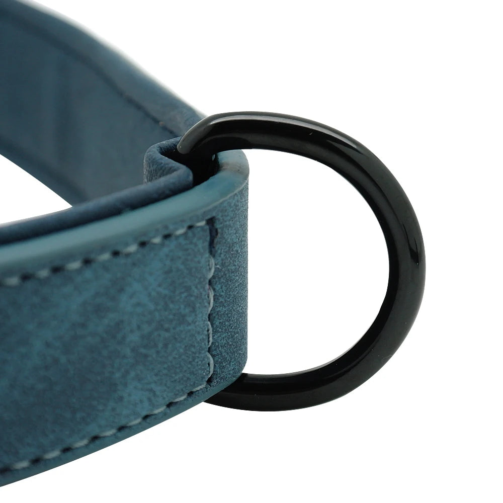 Genuine Leather Dog Collar & Leash Set