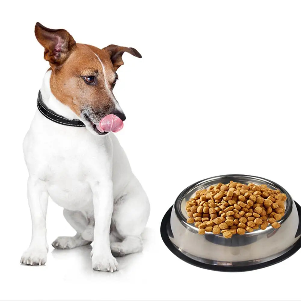 Large Capacity Stainless Steel Cat Bowl