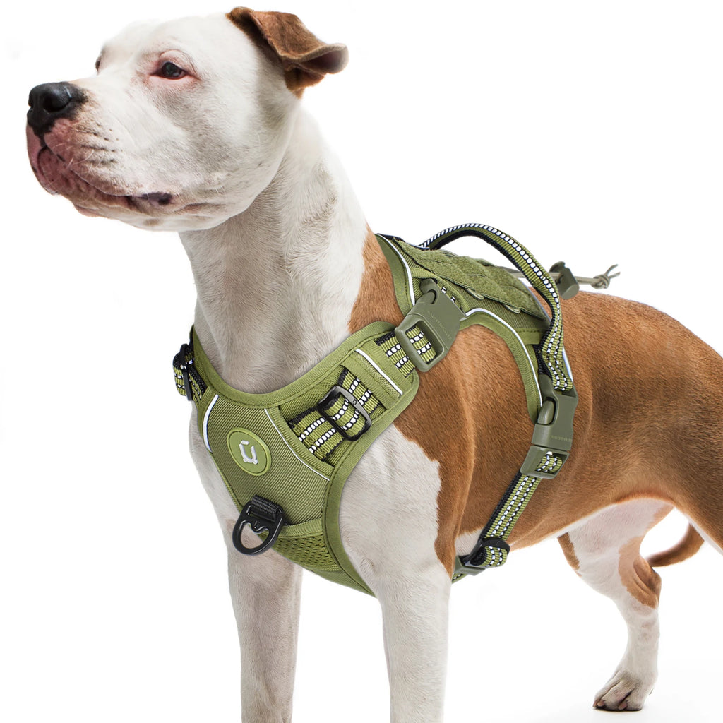 Tactical MOLLE Dog Vest Harness
