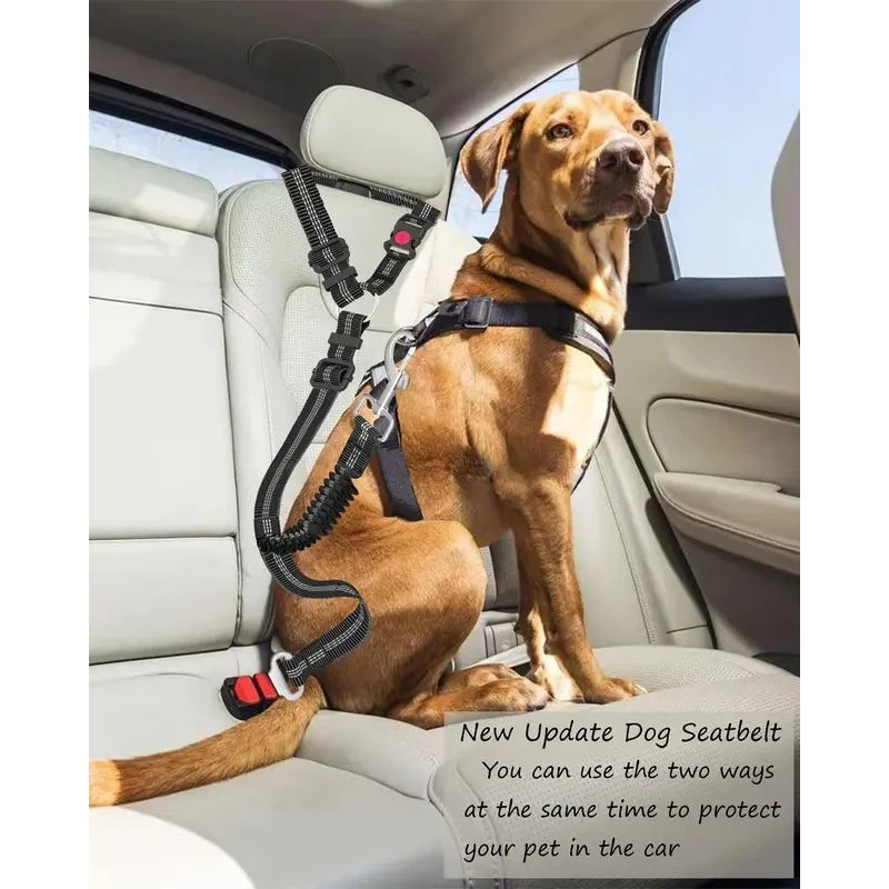 Bungee Retractable Dog Car Seat Belt
