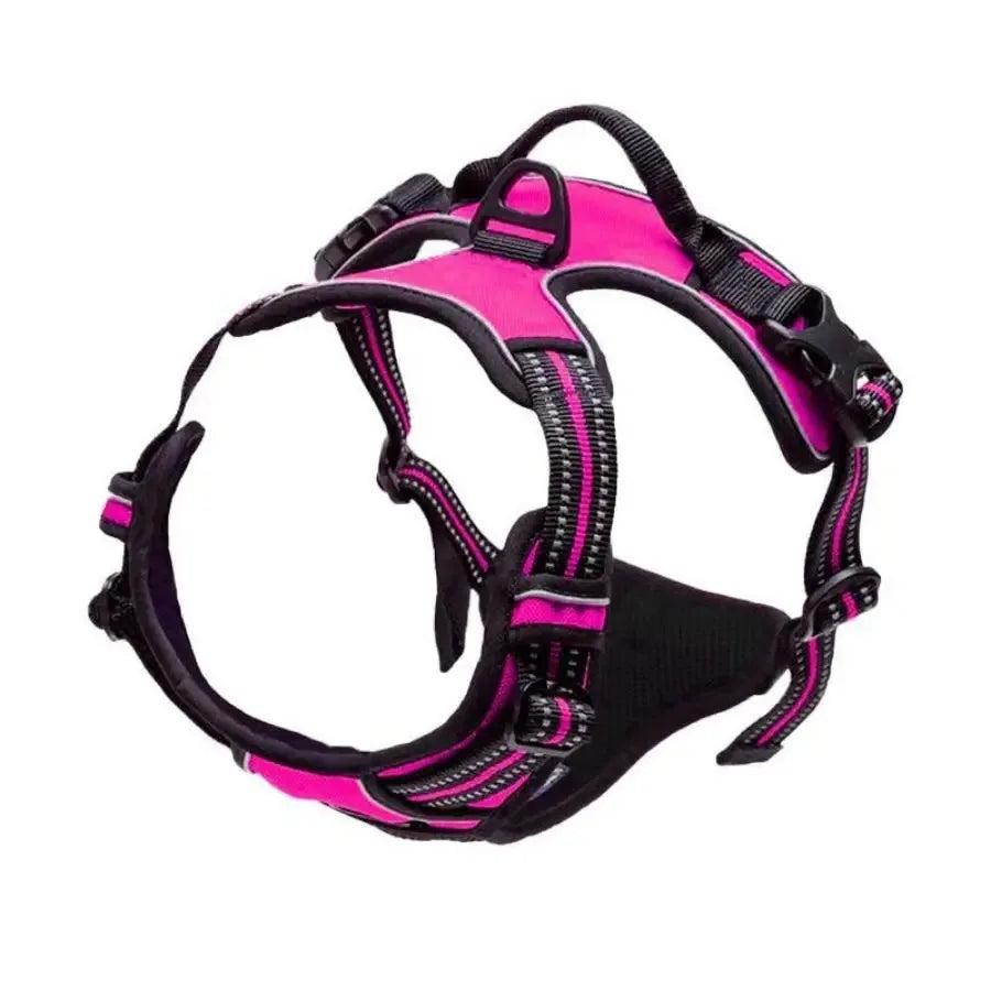 Dog Harness Collar & Leash Set