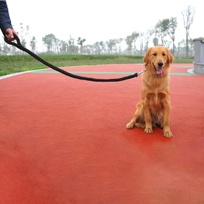 Nylon Dog Training Leash