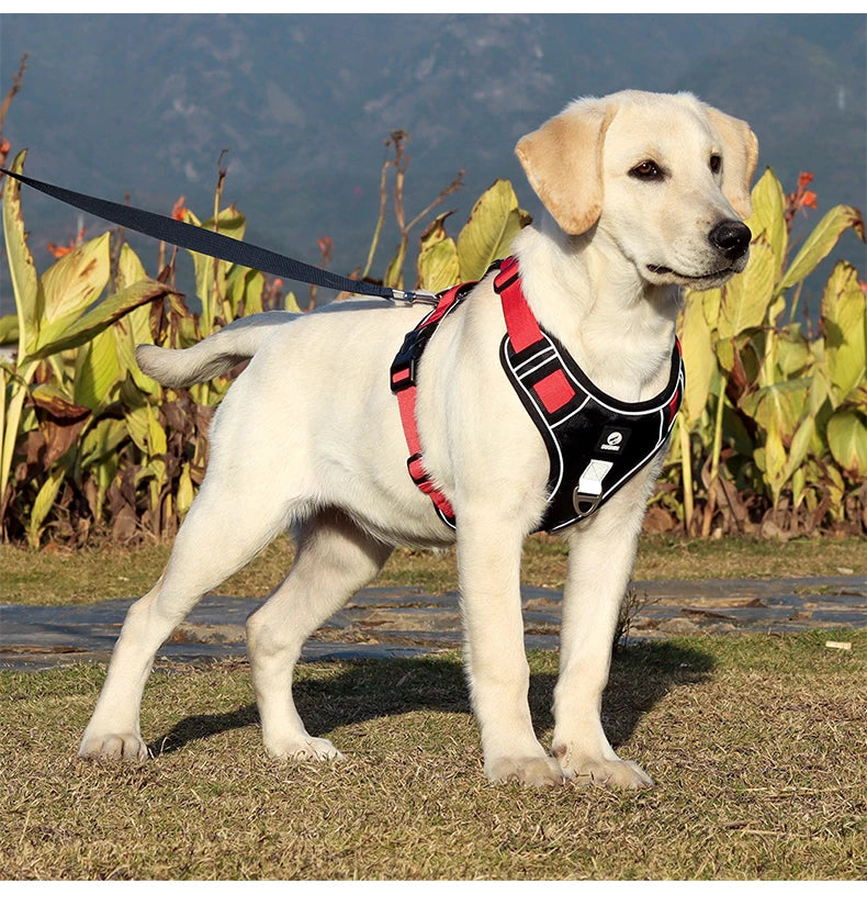 Reflective Army Dog Harness