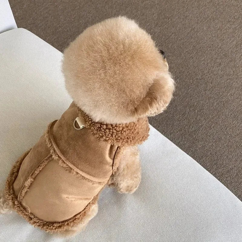 Small Dog Sweatshirt Dress – Cute Pet Apparel for Chihuahuas & Small Breeds