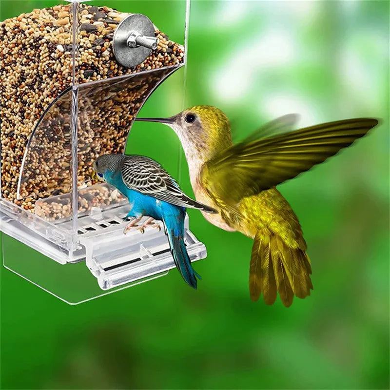 No-Spill Automatic Bird Feeder & Water Dispenser