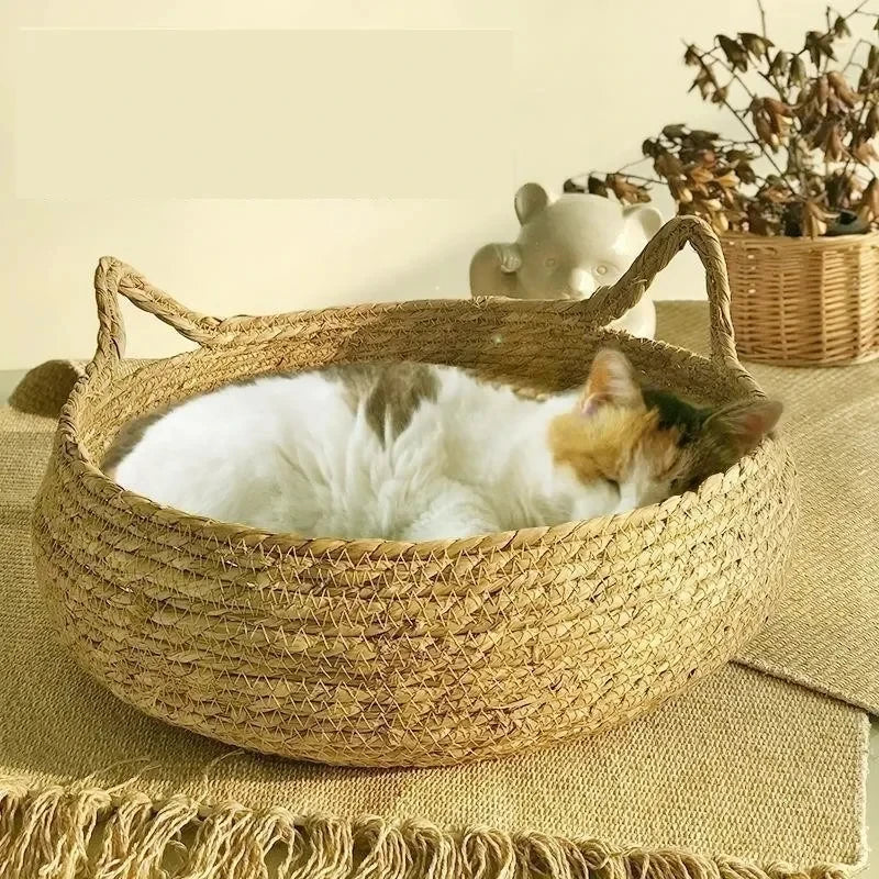 Rattan Woven Cat Nest — Handmade with Cushion