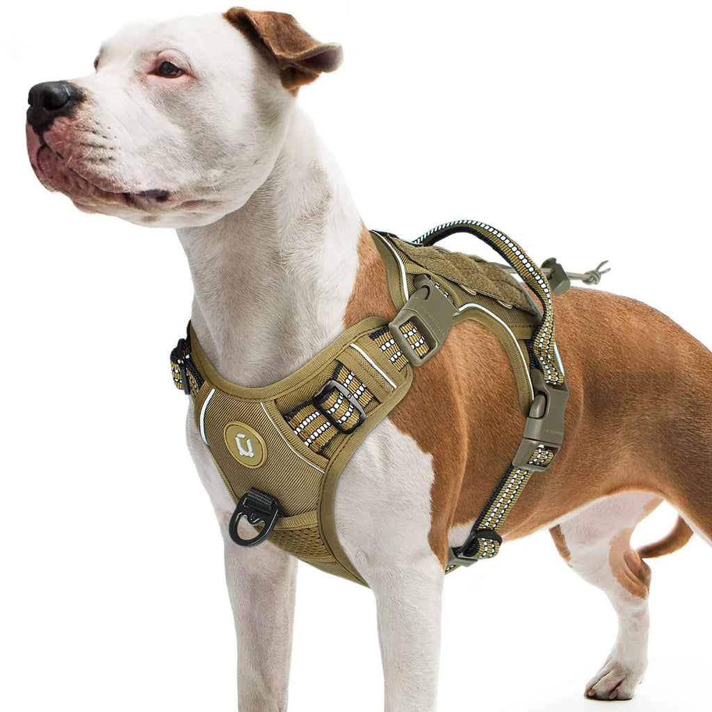 Tactical MOLLE Dog Vest Harness
