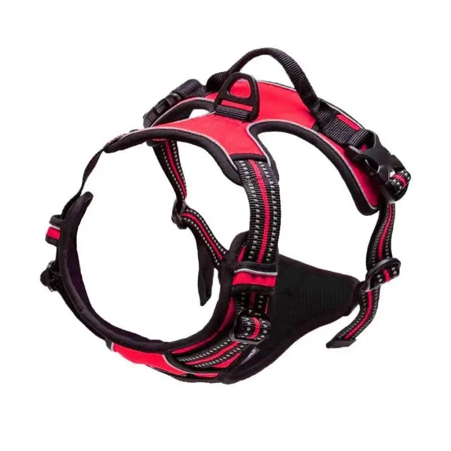 Dog Harness Collar & Leash Set