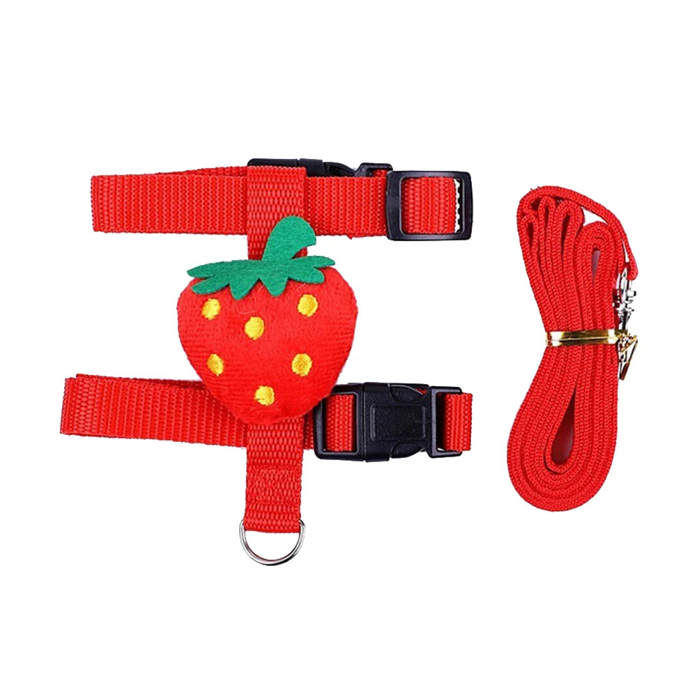 Adjustable Harness & Leash Set for Small Animals